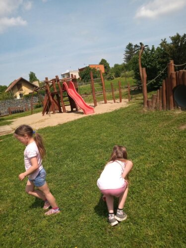 IMG 20230602 111631282